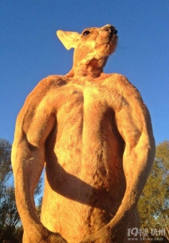 ÿ춼ھȭͽFͰ߀˼І