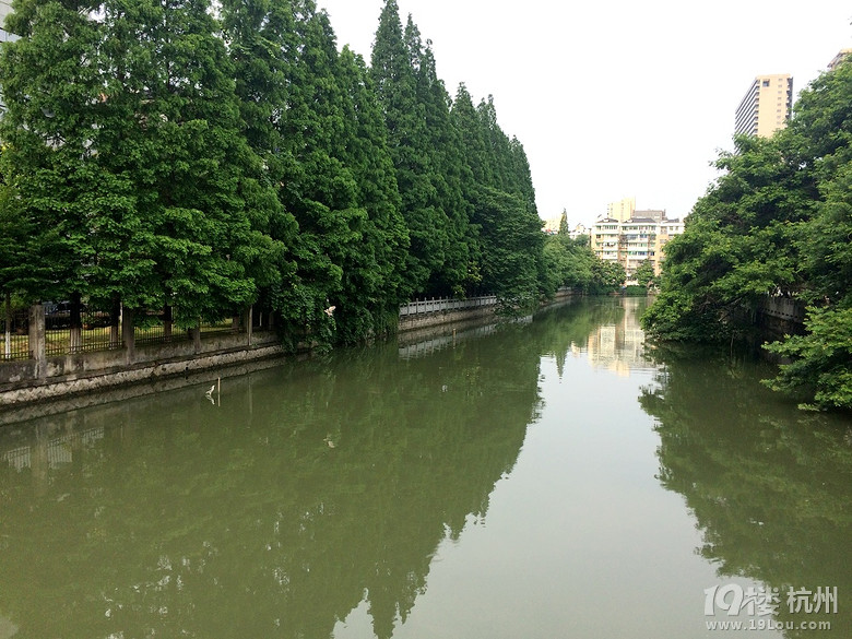 6月11日早安-杭州天气预报-大杭州旅游-杭州1