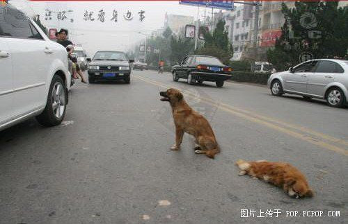 �����ᣡ����ƴ��ҡ���ڳ����Ļ��