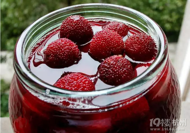 全省最全的杨梅采摘攻略 | 日啖杨梅三百颗的季