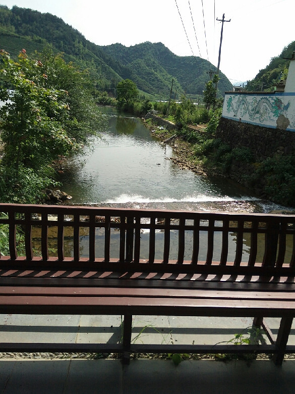 狗狗几个月可以吃幼犬狗粮?-家有宠物-杭州19