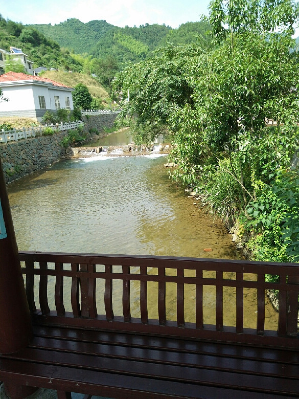 狗狗几个月可以吃幼犬狗粮?-家有宠物-杭州19