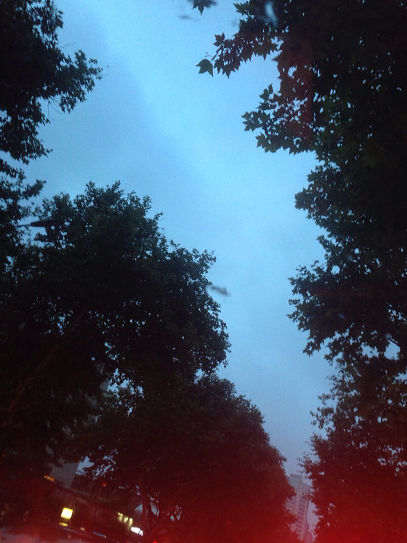 彷佛在天空上眯著眼往下看,看到了北