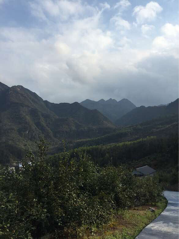 周日22号,建德雅坑水库,主钓黄尾,建德-钓鱼俱