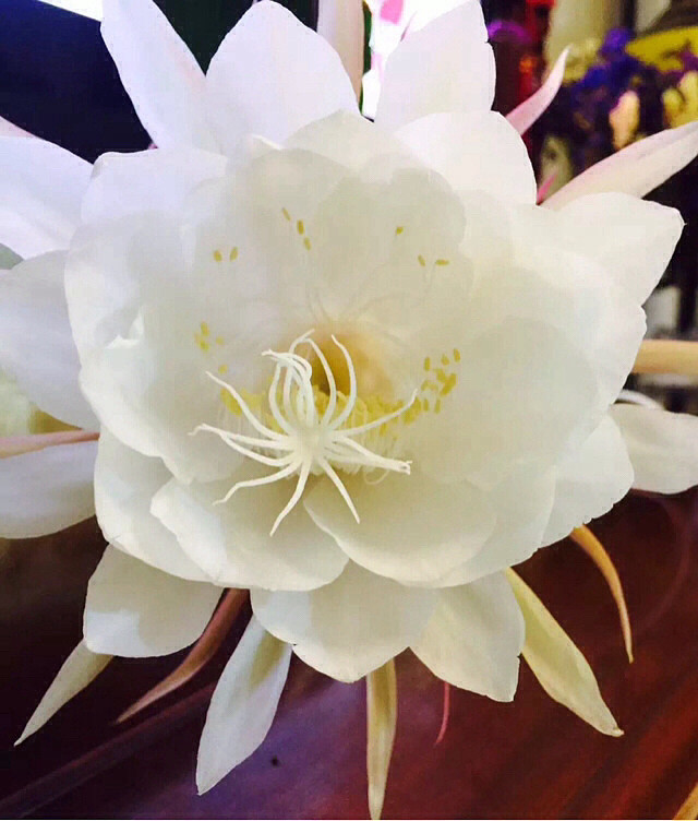 ҹһ_^ĕһһF(xin)䌍(sh)ǲִu