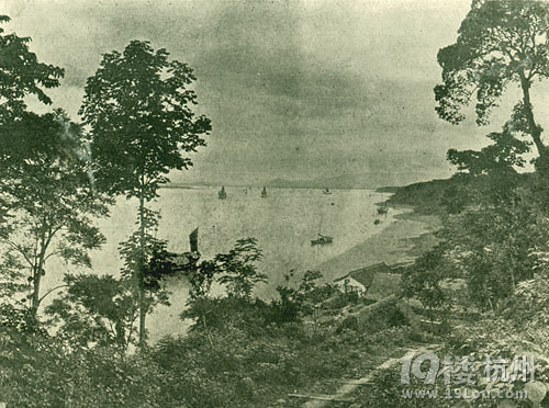 7月4探幽之江大学茶园林泉欣赏娜娜穆斯库莉