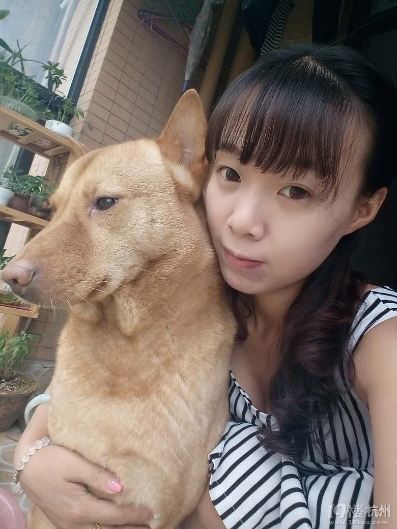 【我和我的宠物】+谢谢你的陪伴!宝贝-爱宠分