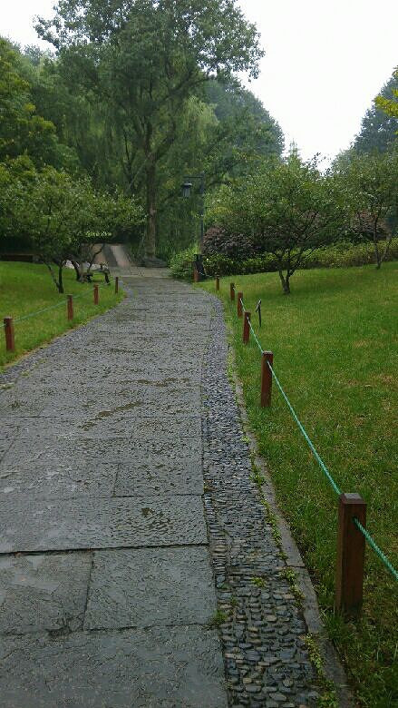 爱风景的女人-手机随手拍-杭州19楼