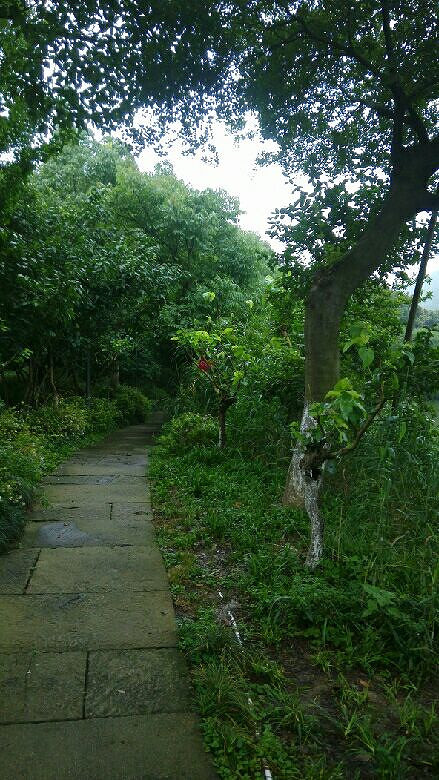 爱风景的女人-手机随手拍-杭州19楼