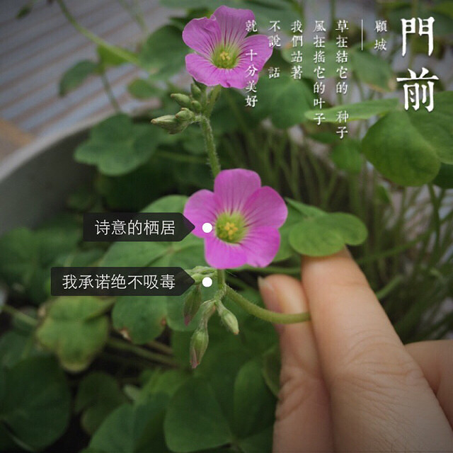 ӡS족ЩֻĈ