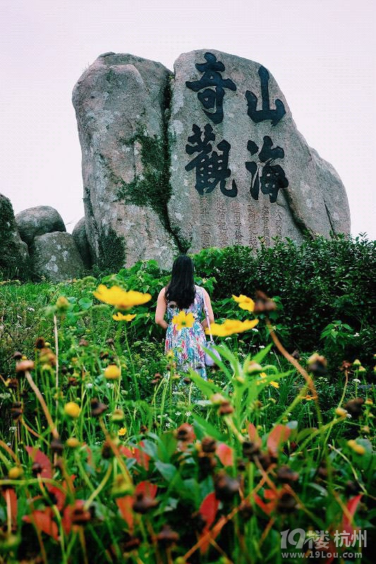 ҵձΡ+ഺӛ轍u