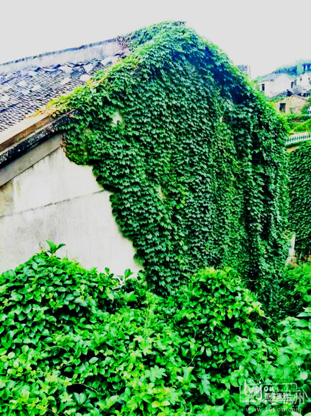 ҵձΡ+ഺӛ轍u