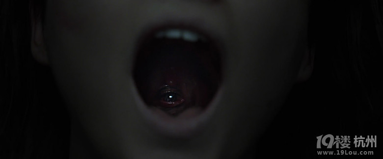 【高清图解】生日献礼之《潜伏3》感恩开播-第86页-恐怖电影-图解电影-杭州19楼