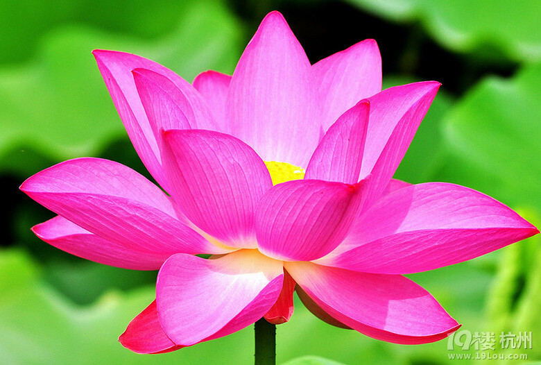 女人如何内养外调让自己更健康(八)