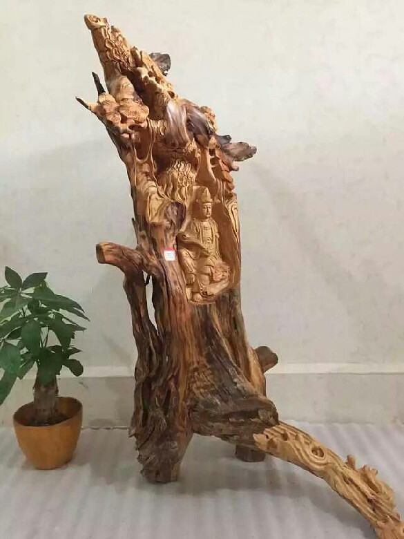 新人报到 请多关照-新人爆照-杭州19楼