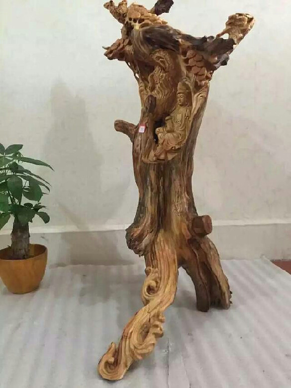 新人报到 请多关照-新人爆照-杭州19楼