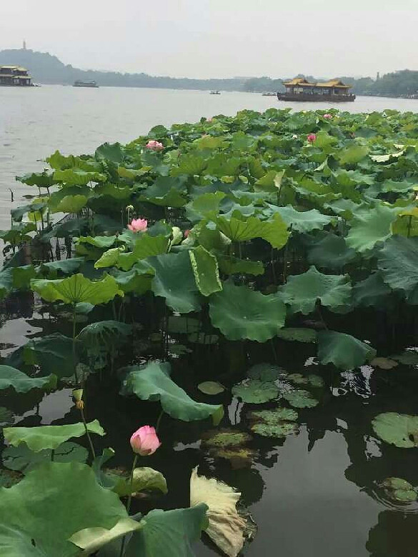 (dng)S족ЩֻĈ