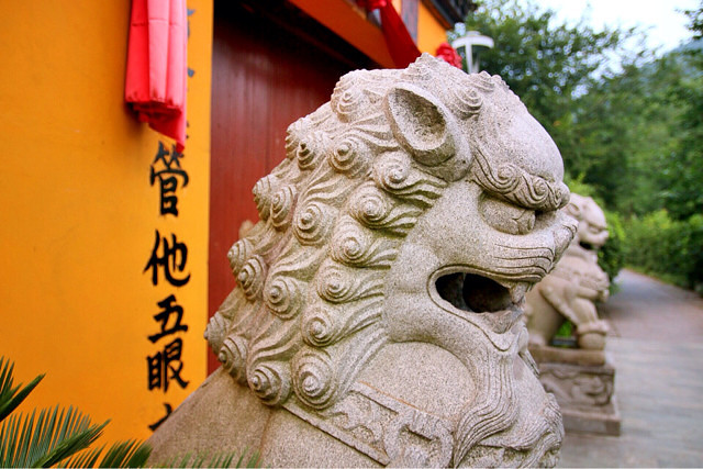 ӡS족ЩֻĈ