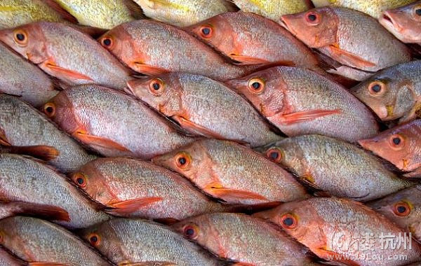 怎么吃都不容易发胖的五种食物 居然包括爆米