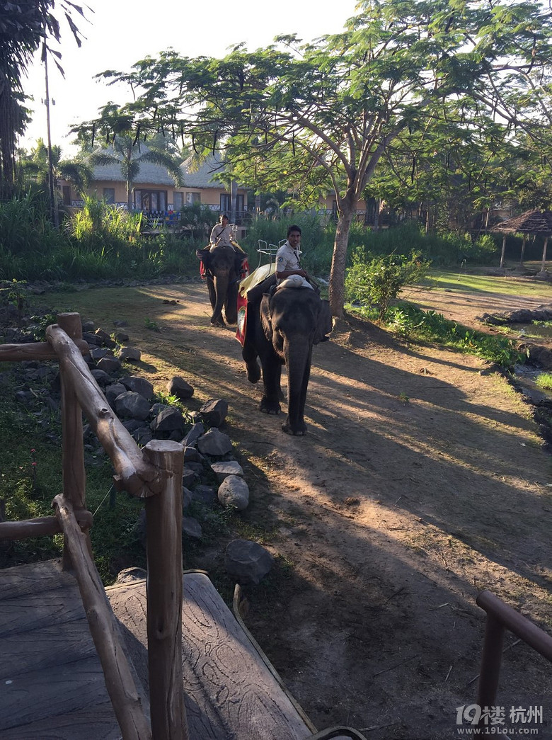 6.30-7.9һ\䌍BALIH֮