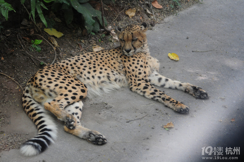 6.30-7.9һ\䌍BALIH֮