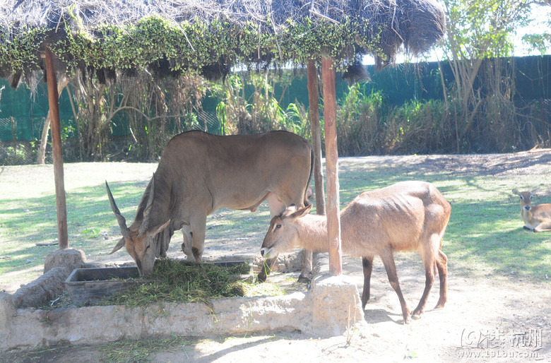 6.30-7.9һ\䌍BALIH֮