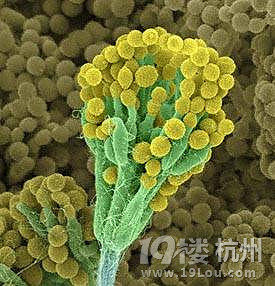 这些小学生该掌握的思维科学小学,你运用自如路宜阳方法图片