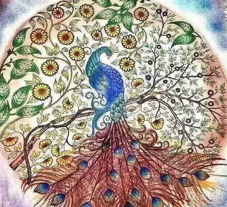 秘密花园韩国版涂色书多少钱?-Shopping帮-杭