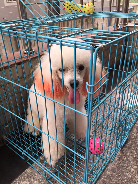 什么牌子的黑咖啡,热量低口感好,求推荐。-201