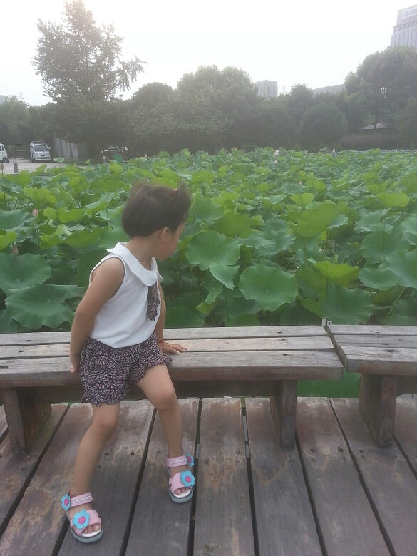 ӡS족ЩֻĈ