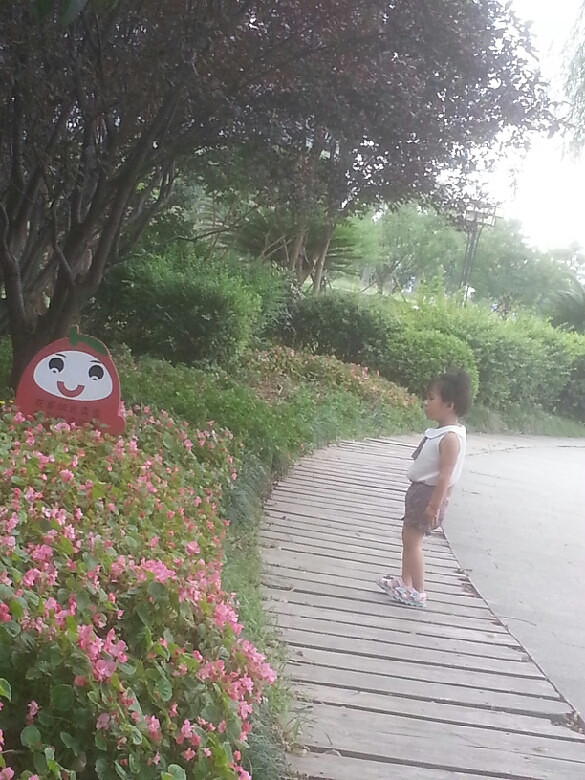 ӡS족ЩֻĈ