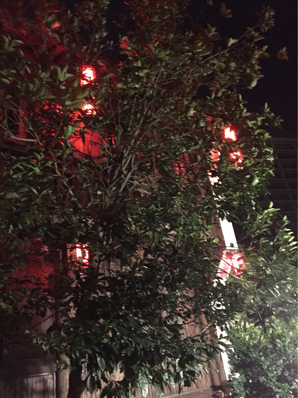 杭州v运河河美食街运河附近,走走很-美食随手拍沙洋手机mbaidu..com图片
