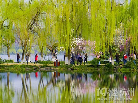 西湖一日游线路,你眼中的西湖