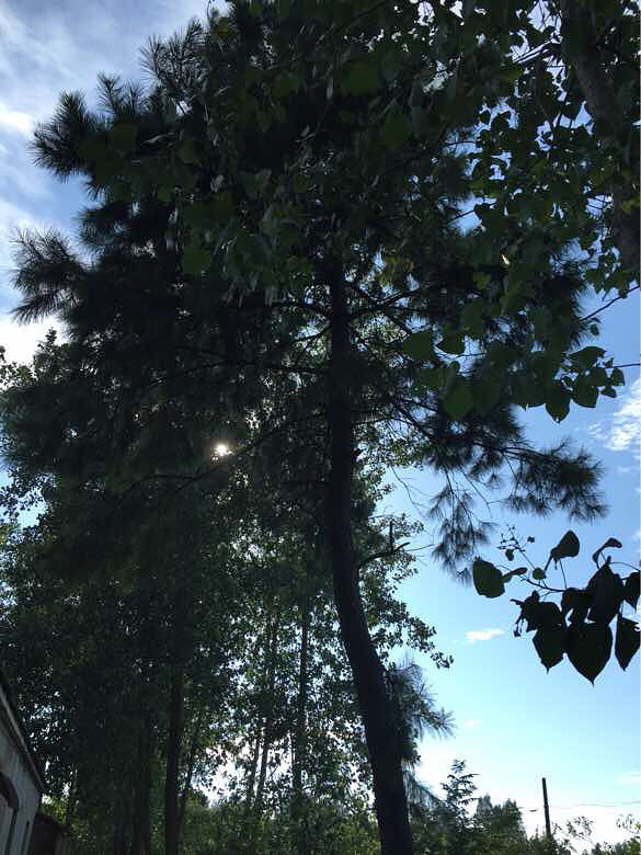 热死人-手机随手拍-杭州19楼