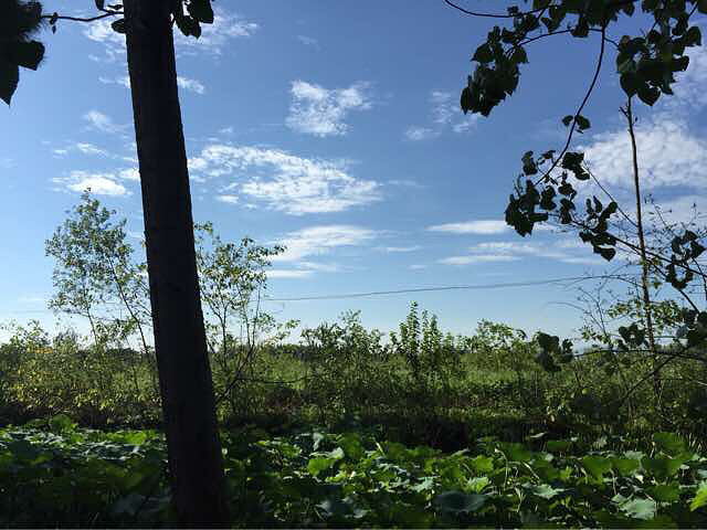 热死人-手机随手拍-杭州19楼