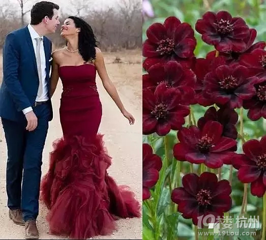 婚紗還沒(méi)有挑好，怎么能挑好未來(lái)老公？