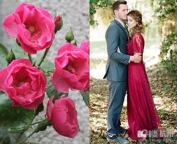 婚紗還沒(méi)有挑好，怎么能挑好未來(lái)老公？