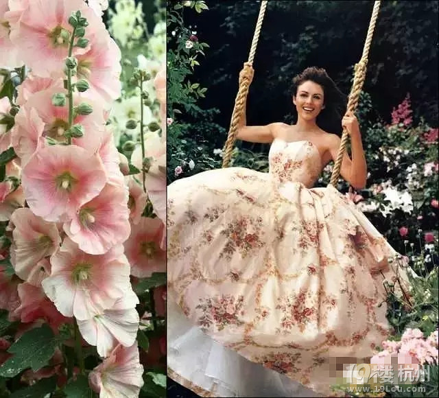 婚紗還沒(méi)有挑好，怎么能挑好未來(lái)老公？