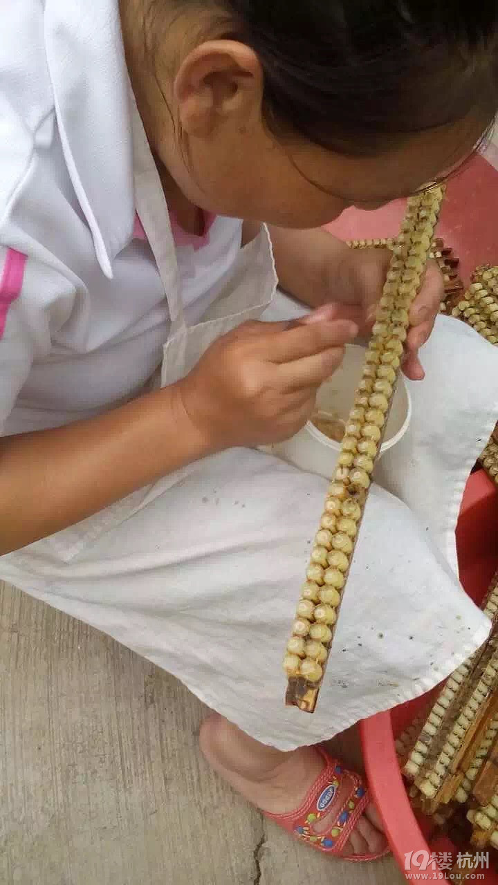 Լۣ{䳲仨۵