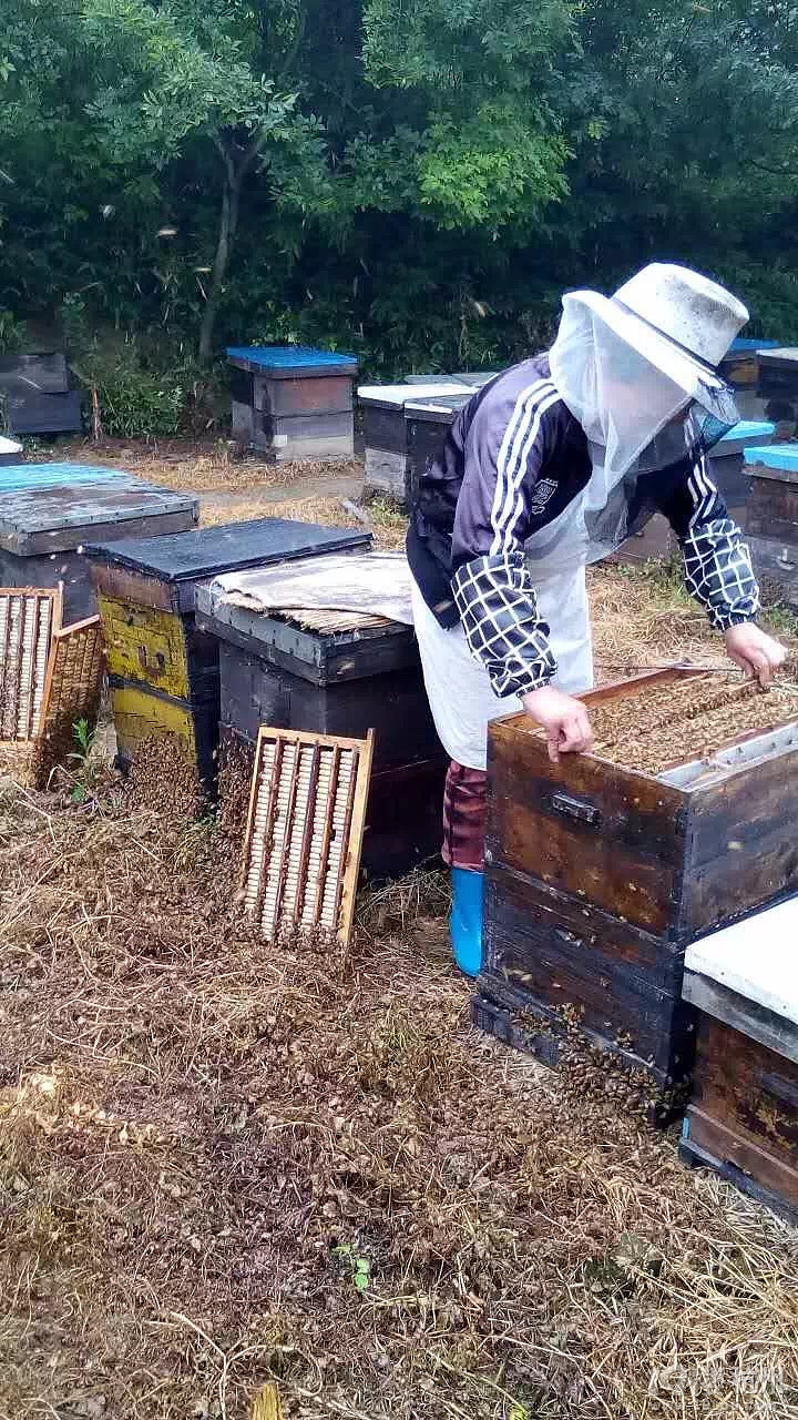 Լ{䳲仨۵