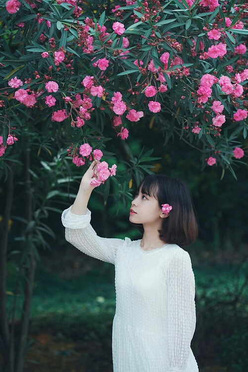 生如夏花