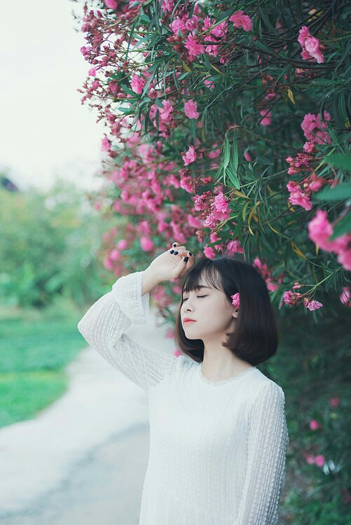 生如夏花