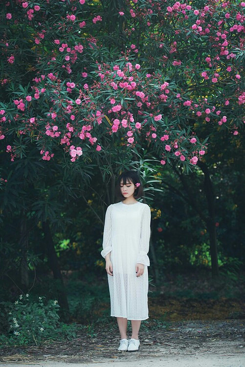 生如夏花