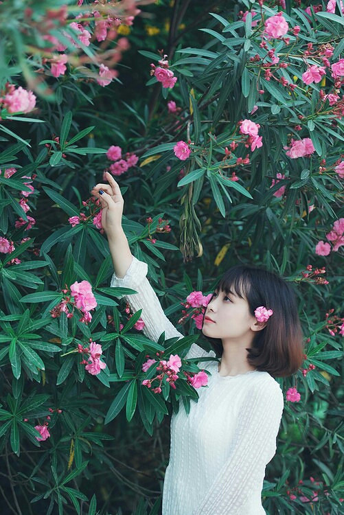生如夏花