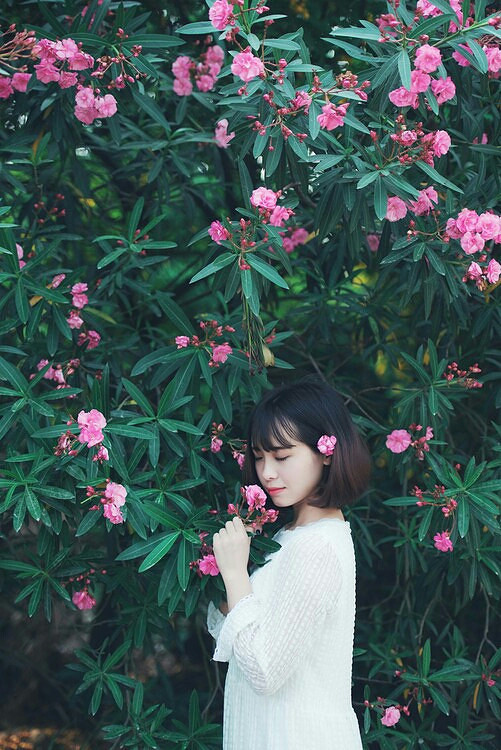 生如夏花