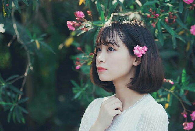 生如夏花