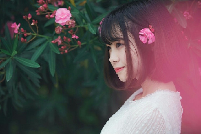 生如夏花