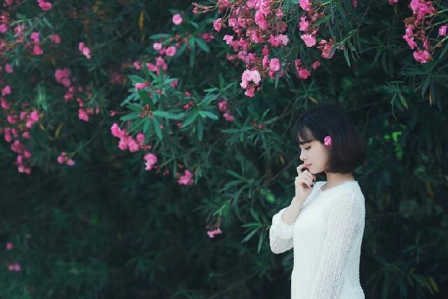 生如夏花