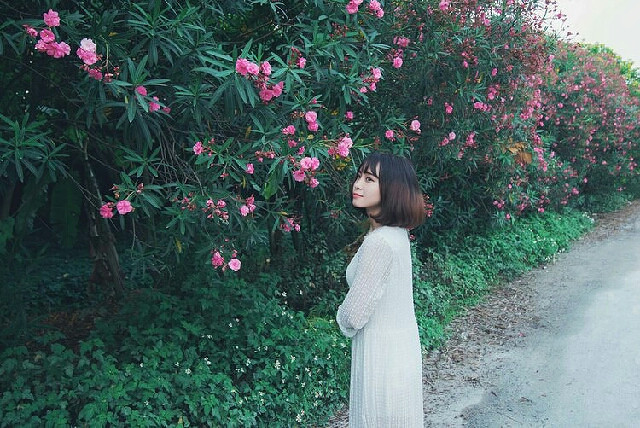 生如夏花