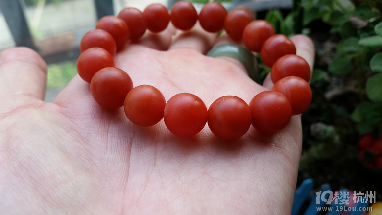 我又回来了 依旧南红